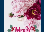 Peony & Iris Art Gallery trân trọng gửi những lời  chúc hạnh phúc nhất tới tất cả mọi người trong mùa Giáng Sinh  thật ấm áp an lành