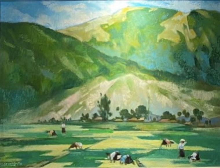 Cánh đồng Mường Thanh 